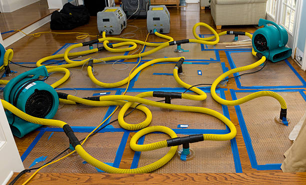 Professional Burst Pipe Water Damage technician working in Woodway, WA