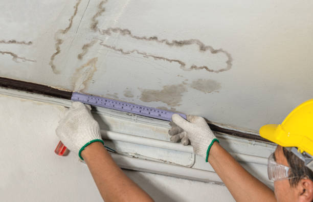 Affordable Water Damage Repair solutions in Woodway, WA